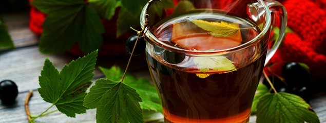 Чай Из Листьев Смородины Польза И Вред - основные характеристики