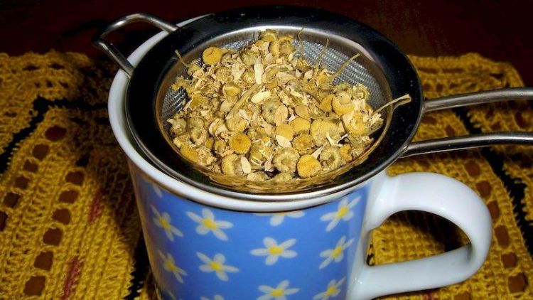 Как приготовить ромашковый чай в домашних условиях