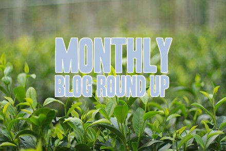 Blog Round Up