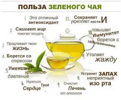 Можно Ли Пить Зеленый Чай При Гастрите - обзор