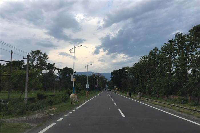 Дорога между Силигури и городом Дарджилинг