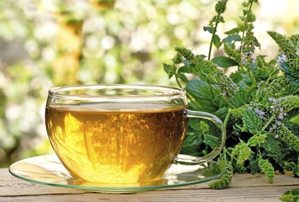 Какие Растения Можно Использовать Чтобы Заварить Чай - детально о чае