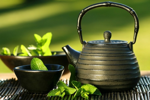 Свойства Зеленого Чая На Организм Человека Польза - основные характеристики