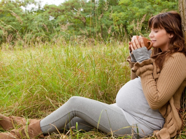 Травяные Чаи При Беременности Какие Можно Пить - описание и основные характеристики