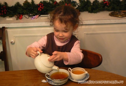 Черный Чай С Какого Возраста Можно Детям - разбор вопроса