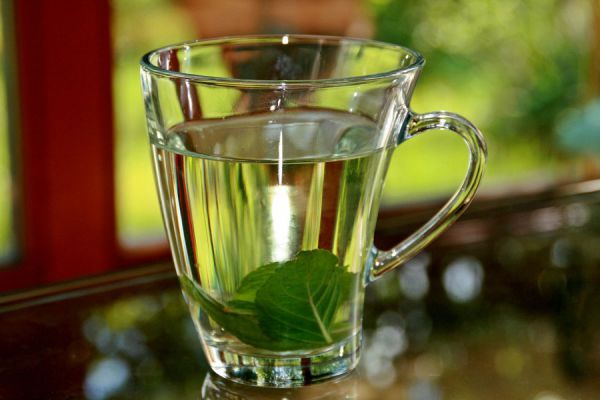 Можно Ли Беременным Пить Чай С Имбирем - основные характеристики
