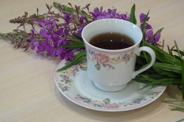 Чай Из Кипрея Полезные Свойства И Противопоказания - детально о чае