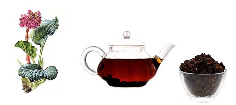 Чай Из Листьев Бадана Рецепт Как Приготовить - описание