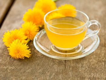 Как Заварить Чай Из Одуванчиков Свежих Цветков - основные характеристики