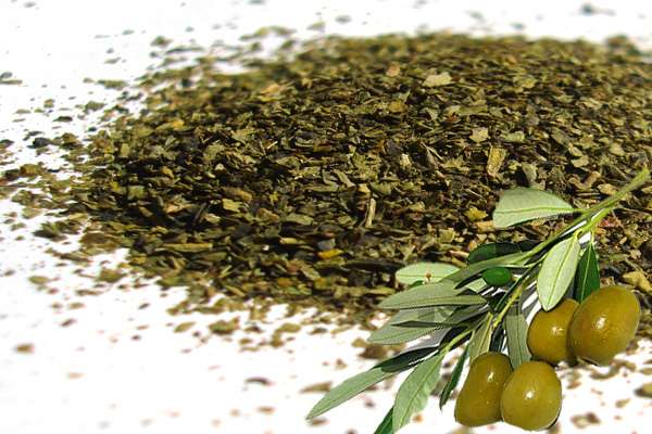 Оливковый Чай Из Турции Польза И Вред - основные характеристики